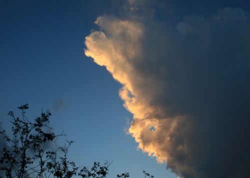 Leaning Cloud
