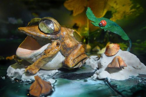leather frog toys