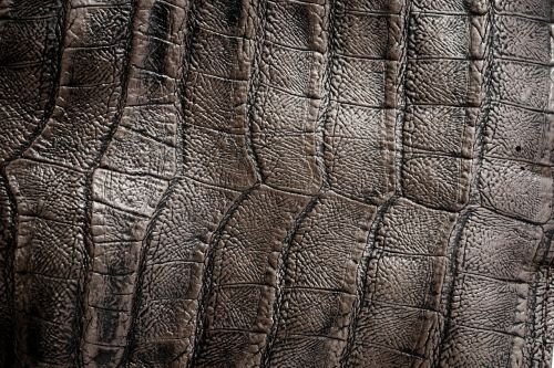 leather skin texture
