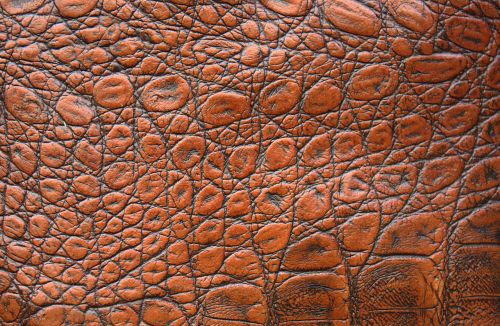 leather skin texture