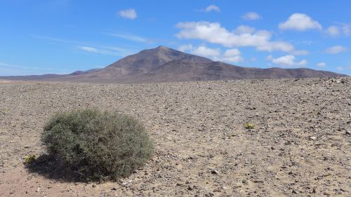 leave lanzarote island