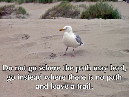 Leave A Trail