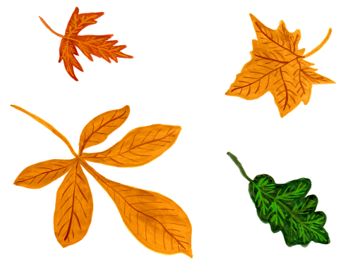 leaves autumn watercolor
