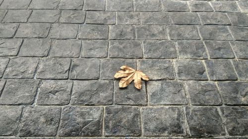 leaves brick floor