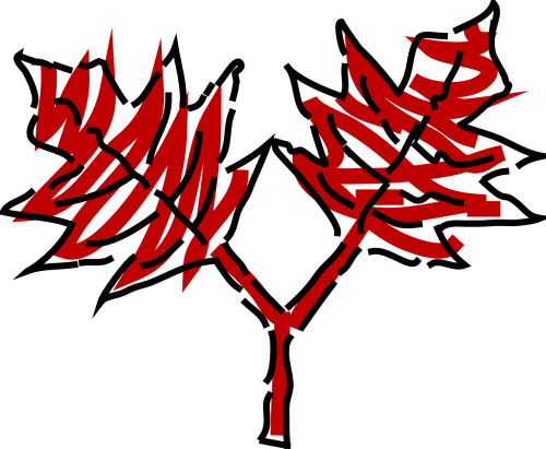 leaves red tree
