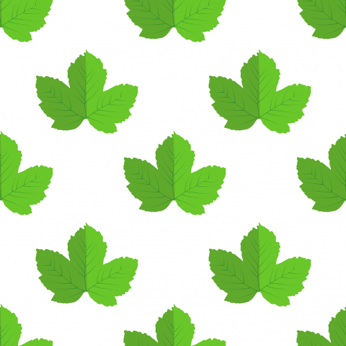 leaves vector nature