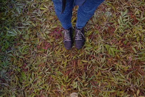 leaves shoes feet