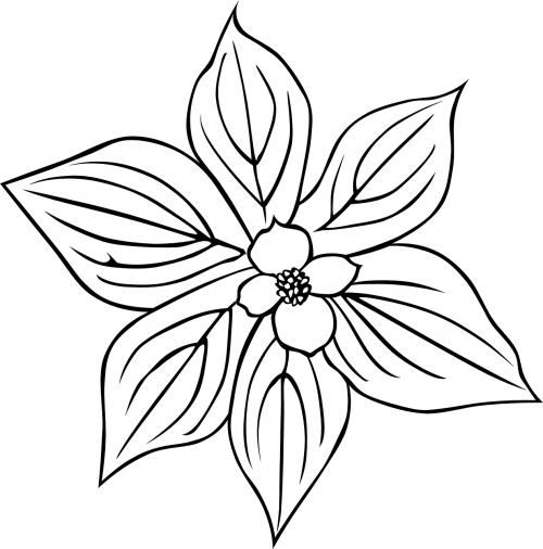 leaves flower black and white