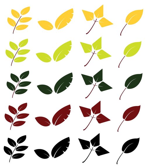 leaves  graphics  fall