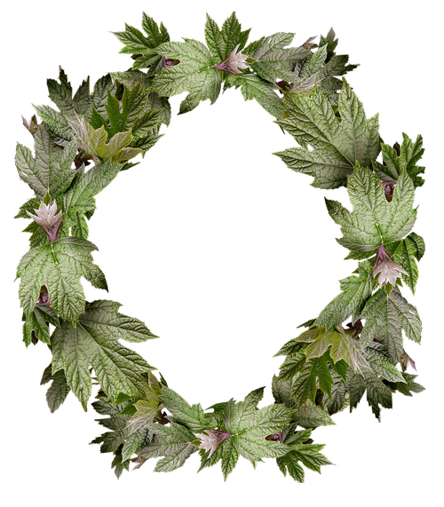 leaves  wreath  frame