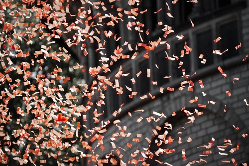 leaves  wind  confetti