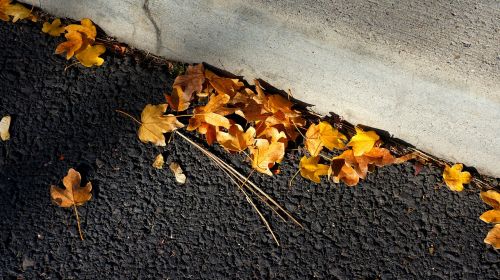 leaves blacktop curb