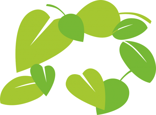 leaves vector green
