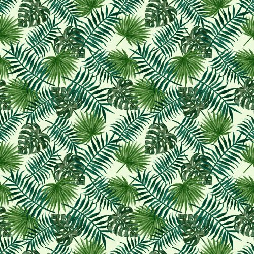 Leaves Tropical Wallpaper Foliage