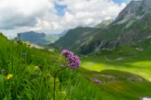 lech  lech valley  alpine