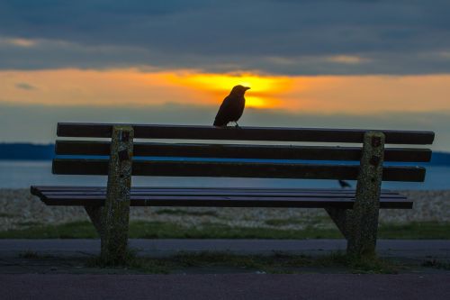 lee on solent england sunset