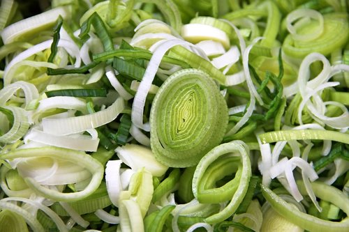 leek  vegetables  soup greens