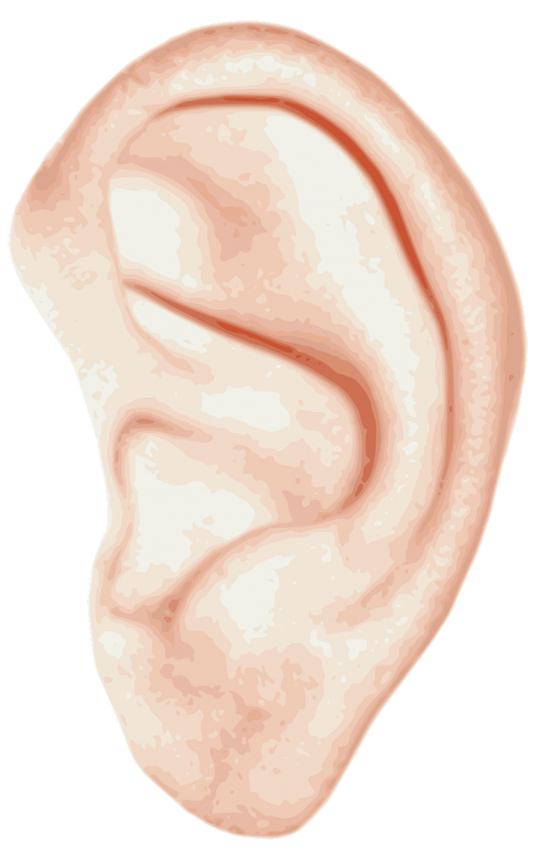 left ear hear