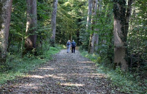 leisure hobby hiking