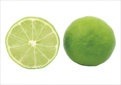 lemon vector green