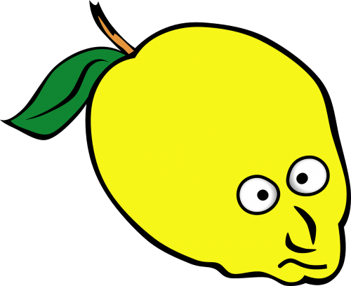 lemon citron citrus fruit