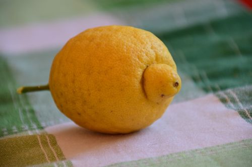 lemon sour yellow