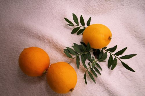 lemon citrus food