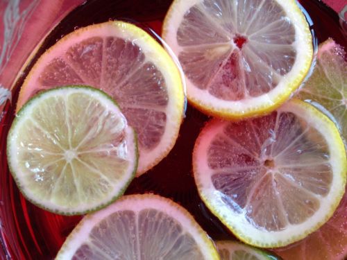 lemon slice citrus fruits