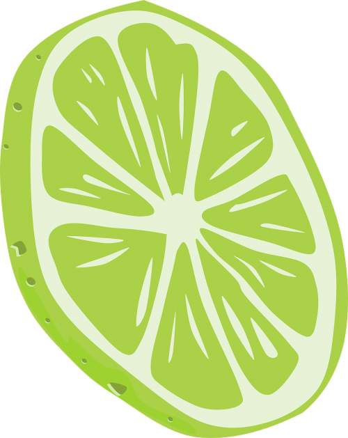 lemon slice fruit