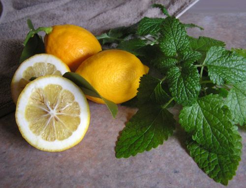 lemon and balm