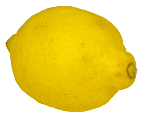 lemon isolated fruit