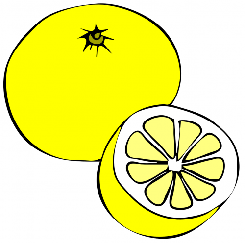 lemon grapefruit fruit