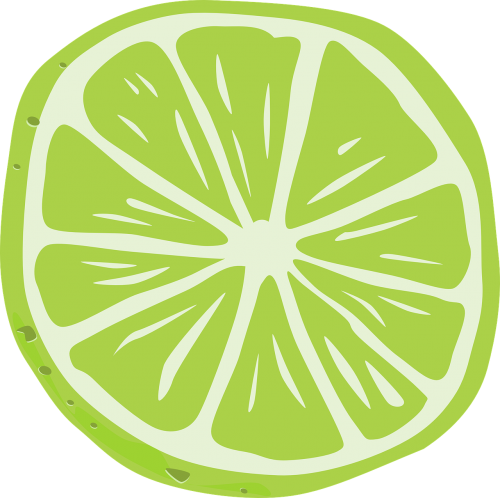 lemon lime slice
