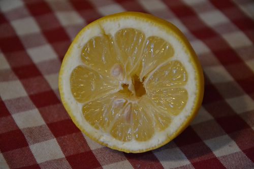 lemon butterfly goes fruit