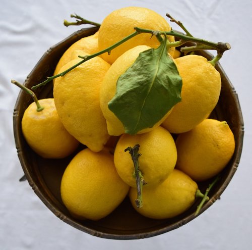 lemon  fruit  bowl