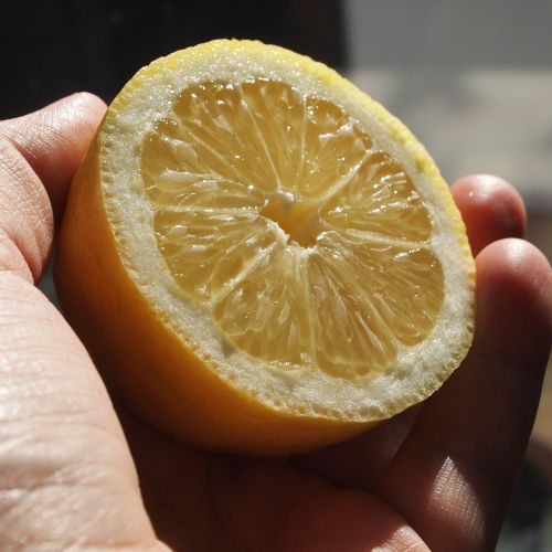 lemon half sun
