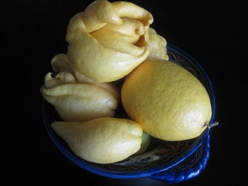lemons fruit bowl