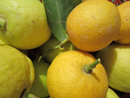 lemons yellow citrus fruit