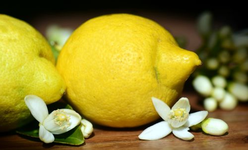 lemons lemon blossom blossom
