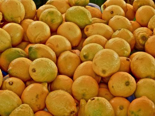 lemons farmers local market holiday