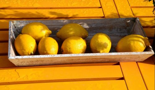 lemons colorful fruit