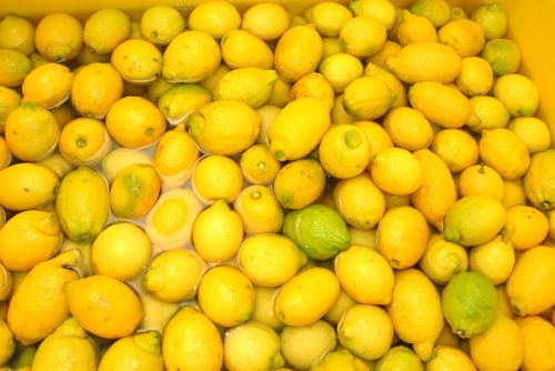 lemons sorrento italy