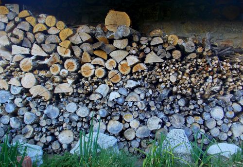 lena wood trunks