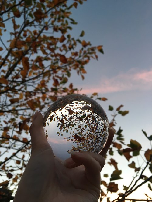lens ball  leaves  sky