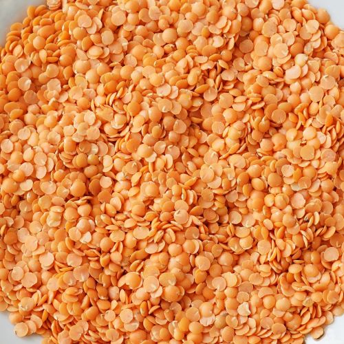 lentil grains food