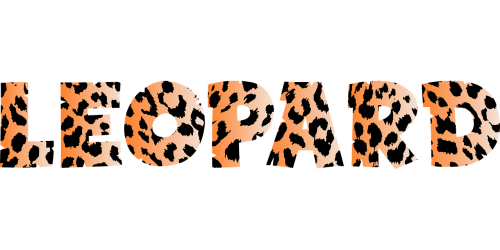 leopard spots pattern