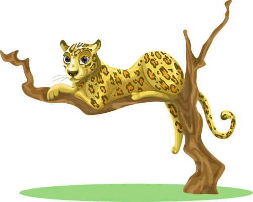 leopard tree sitting