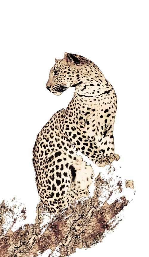 leopard animals printing