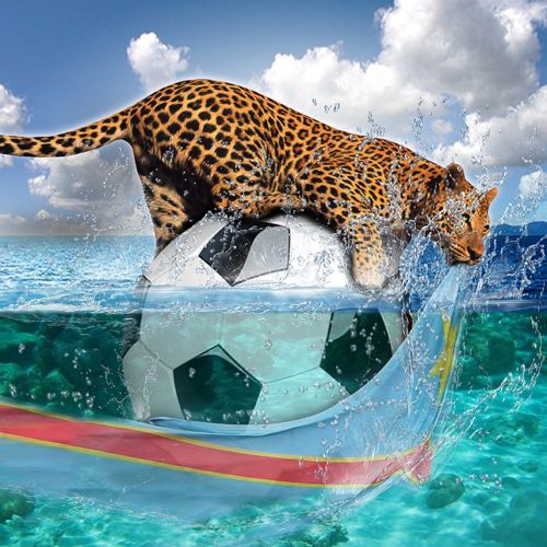 leopard rdc soccer ball