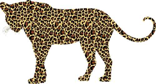 leopard big cat feline